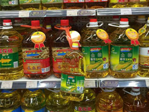 金龍魚